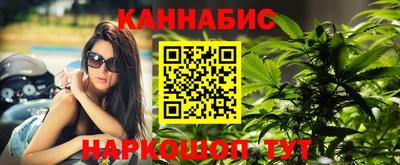 трава Кингисепп