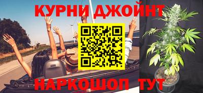 трава Кингисепп